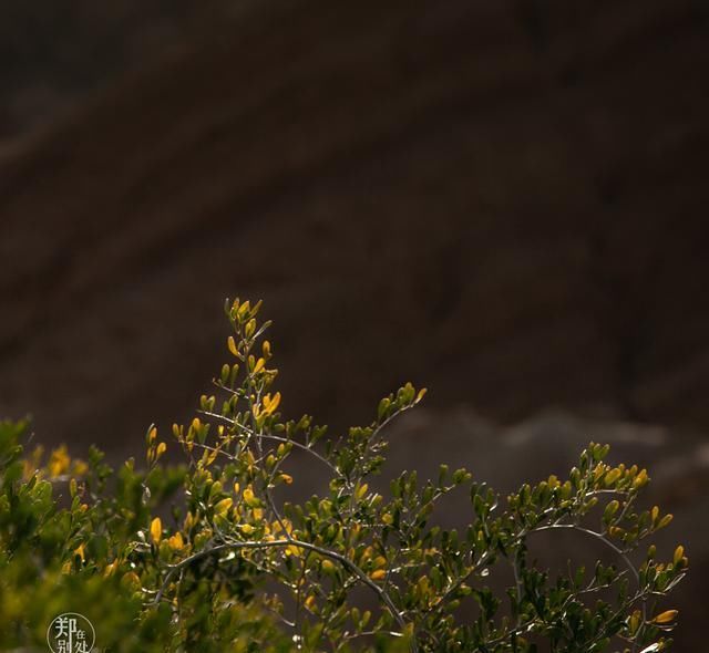  七彩|千里走西北（2）：七彩丹霞到底有多美？这篇图文路线，让你看懂