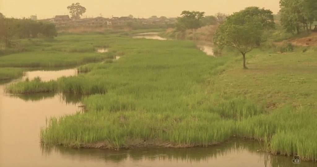  纯爱电影|日本大分县，有一片属于新垣结衣和三浦春马的河滩