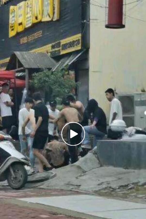  公安机关|南阳武侯路多人打群架 10人被刑拘 1人被通缉，劝你不要打架！