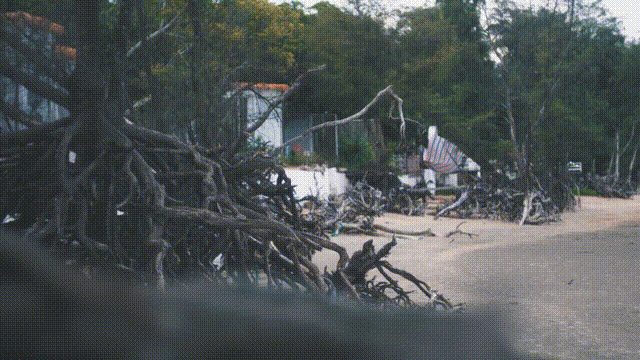 海中|中国这个美丽海滨！城在海中、海在城中，藏着绝妙生活却少有人知