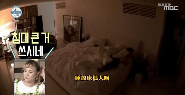  独居|顶流男神58亿独居豪宅大曝光，中韩网友全傻眼：猫也有独卫？！