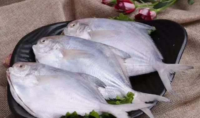  就算|买海鱼, 直接奔着这5种买, 肉多刺少营养高, 就算贵点也要舍得!