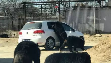  危险|家长们注意！暑期一定要让孩子远离这几种危险！