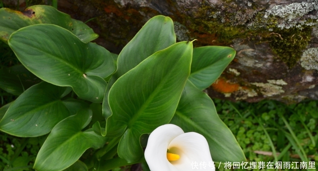  表里如一|十二星座外表和内心相差指数是多少？有人表里如一，有人深藏不露