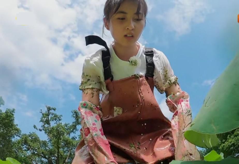  黄磊|《向往的生活》怀旧男团勾人回忆，娜枫闺蜜惹人心疼，真实才是向往