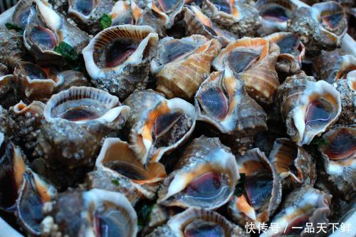 终于|又一个海鲜圣地,大青蟹5元一只,120管饱,终于吃得起海鲜了