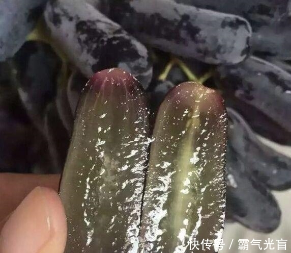  全家|此树非常高产，沾土就活，甜度高，院子里种一株，来年全家吃不完