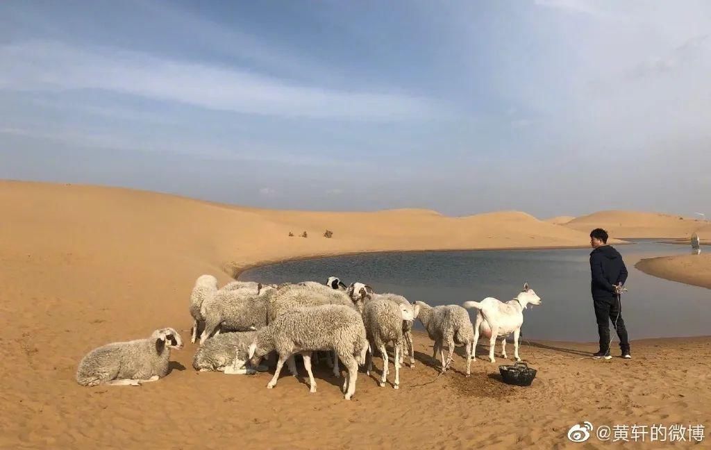  打算|资生堂这是打算和黄轩同归于尽？？？