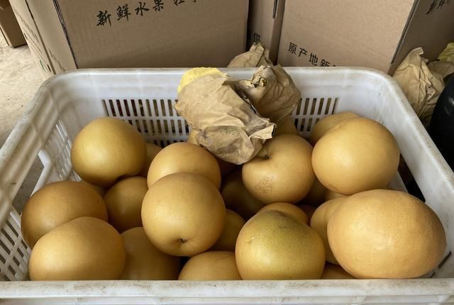 牢记|立秋后买梨,挑大的还是小的?老果农:牢记3招,到手的梨脆又甜