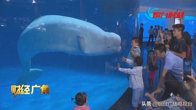  放开|烟台：国内跨省游放开 团费、机票都在降