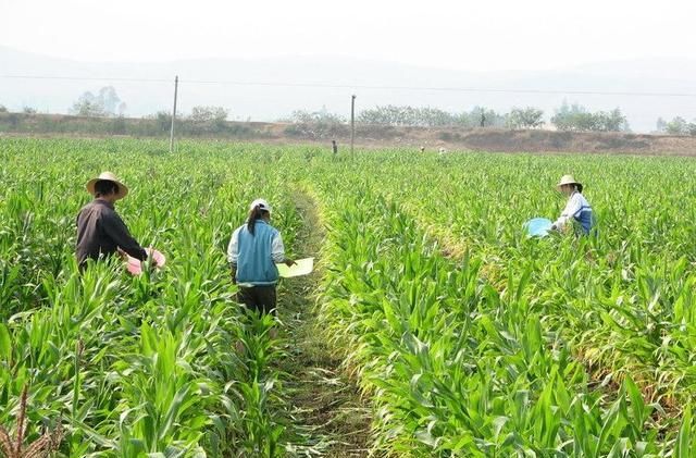  亲戚|原来这3大专业在亲戚眼中是如此的“不堪”，学生党：都是泪