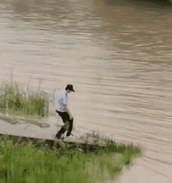  看哭|看哭了……狗妈妈不顾阻拦跳入洪水救宝宝