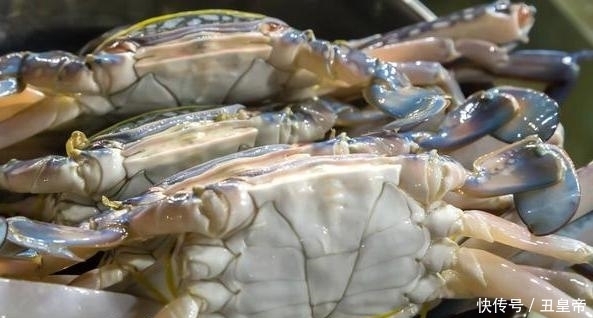 梭子蟹|8月份,梭子蟹要吃公的,教你5个挑选技巧,螃蟹肥美,蟹膏满满