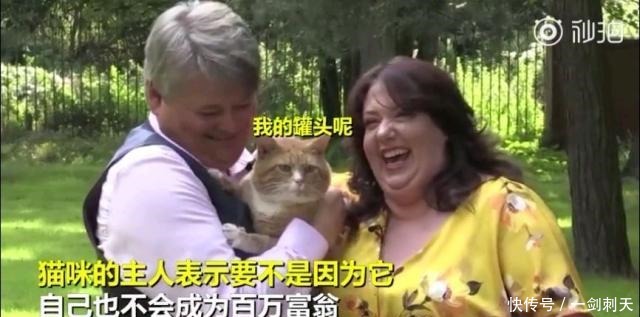 罐头|这对中了100万英镑大奖的夫妇表示,多亏了自家猫……