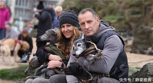  小狗|带着老小狗去海边最后一次旅行，没想到海边有数百人来了