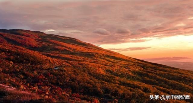  陷阱|家电市场的这个消费陷阱为何逃不掉？企业投入少，职业没尊严