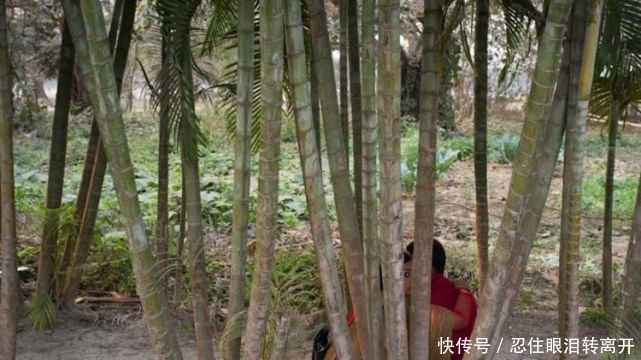 抓走|敢在大街上接吻？会被猛扇耳光，揪耳朵甚至被抓走，比查酒驾厉害