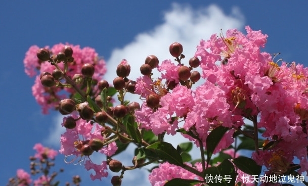  有福气|越胖越有福气的四个生肖女，天生的贵命，是最不应该减肥的生肖