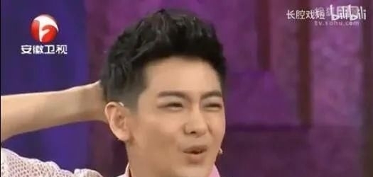  陈若仪|林志颖家的这出八点档