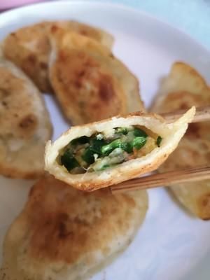  吃法|水煎饺|免解冻免煮快手冻饺子新吃法