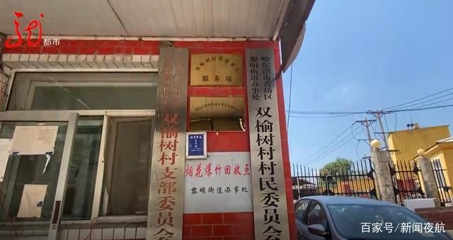  大树|狂风暴雨，大树倾倒砸车，谁来担责？