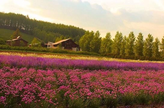  不尽|未来7天，吉运缠身，4属相惊喜连连，富贵多金，享福不尽