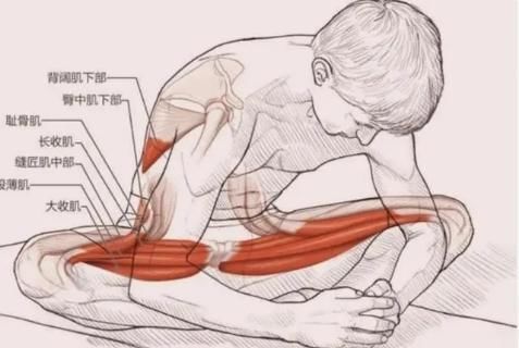 减肥|想要跑步减肥不伤膝盖,你需要这样做