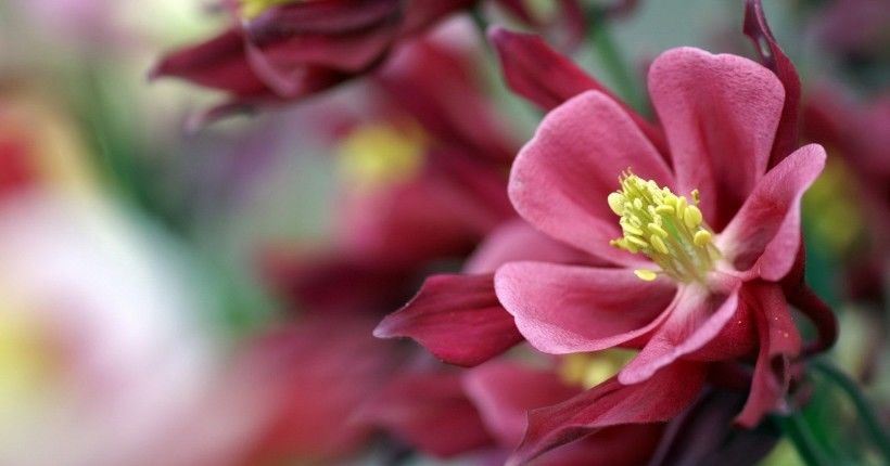  故人|未来一周，爱情须尽欢，敞开怀抱，接纳从前故人，再度和好的星座