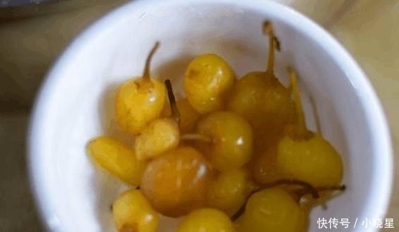 炒牛杂|六十年老店每天只卖四个菜, 店内却天天坐无虚席