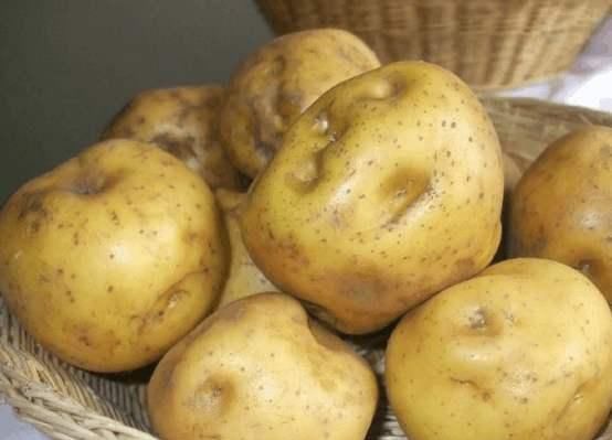  学会|才知道保存土豆有技巧，学会这么做，土豆放一年也不发芽不腐烂！