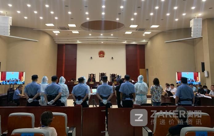  天花板|诈骗金额超5亿元，2900万余元港币藏于厨房天花板上！“返利拼单”诈骗案今日开审