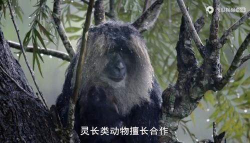  佳作|豆瓣预定超9分的佳作：原来我们错过许多惊喜，真遗憾没早点看到