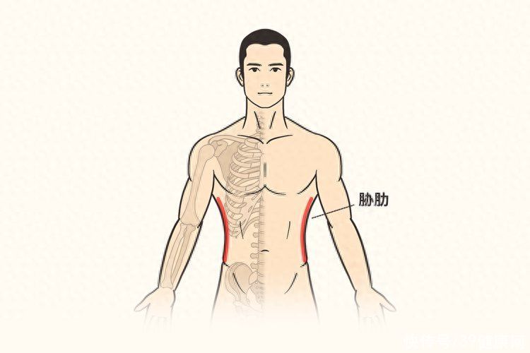 为啥中医说“屁为脾之镜，腰为肾之镜，胁为肝之镜”？一文告诉你2023