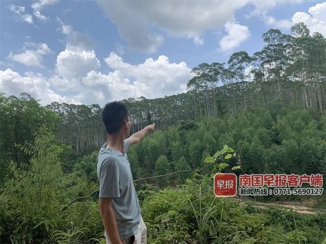  谢先生|多人举报钦州一“民警”诈骗 却因属“经济纠纷”不立案