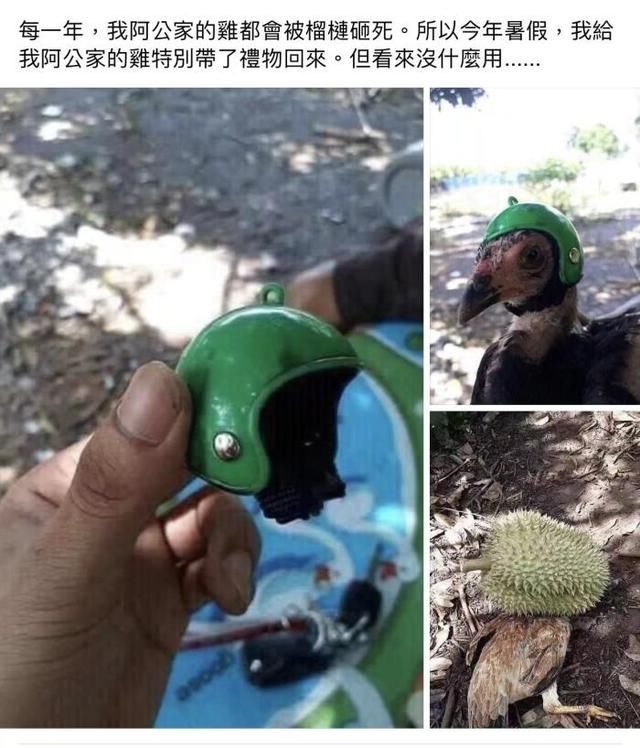 骗子|被骗子骗了70元后，根据网友提示这样做骗子回复太搞笑了哈哈哈