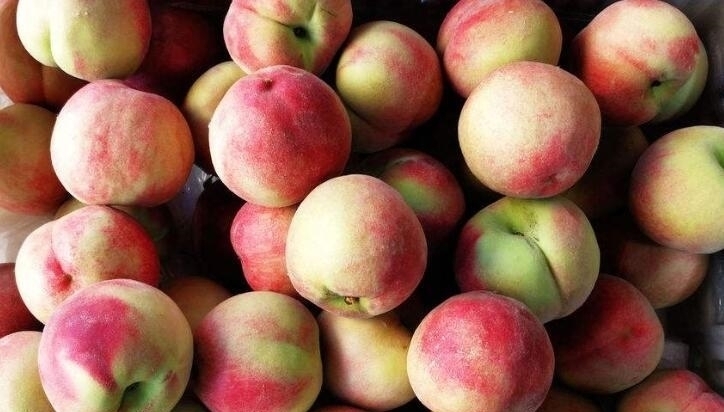 酸甜|夏天,此果正当季,3块钱1斤,补血益气,腌起来酸甜脆爽,好吃