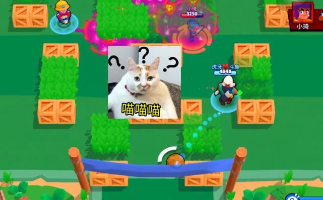  竞技|荒野乱斗：公平竞技成笑话！匹配机制毫无规律，队友永远是那么蠢