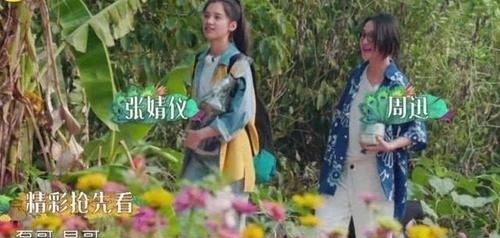  治愈|《向往的生活》第四季治愈来袭，“每一天，都要好好过”