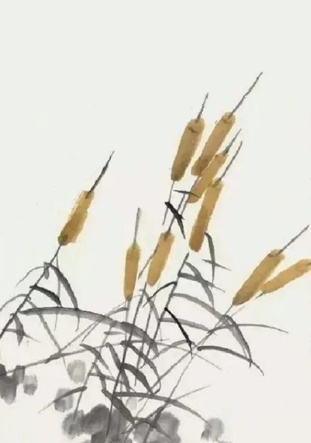  画法|怎么画鱼虾蟹蛙、写意《趣》画法