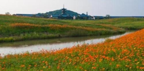  感情|心理测试：图中的花海你会选择哪片去度蜜月？测试他对你真心吗？