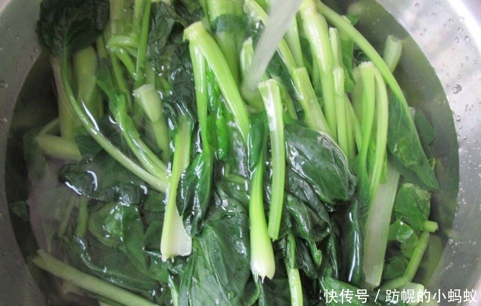 发酵|做包子发酵面团,一个小诀窍30分钟发满盆,包出包子暄软又好吃