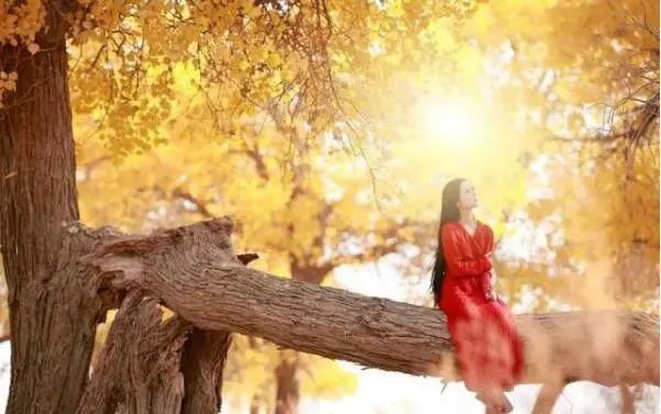 额济纳旗|【阅读】有一种心动,叫额济纳的秋天