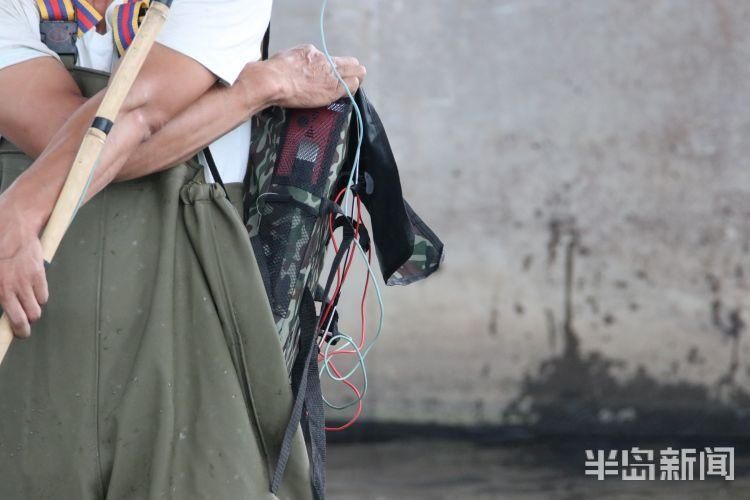 李村河|李村河胜利桥段:4名男子非法电鱼 严重破坏生态平衡