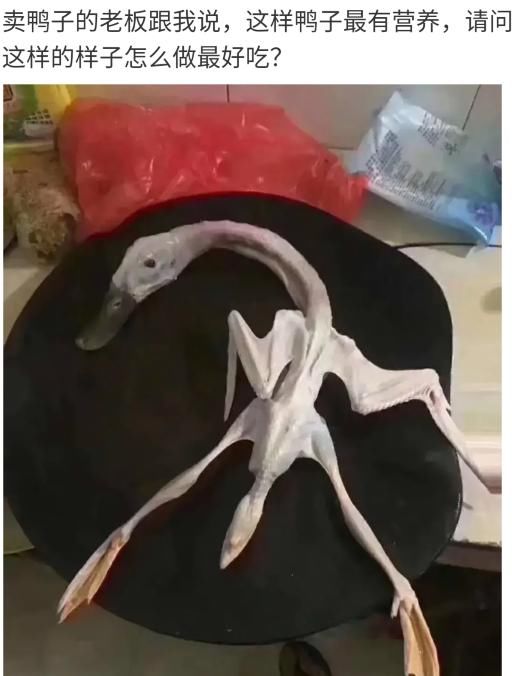 好吃|“老板说这种鸭子有营养,请问怎么做好吃?”鸭:我自己都营养不良