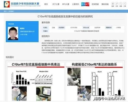  惹不起|惹不起的小学生，拼不起的爹