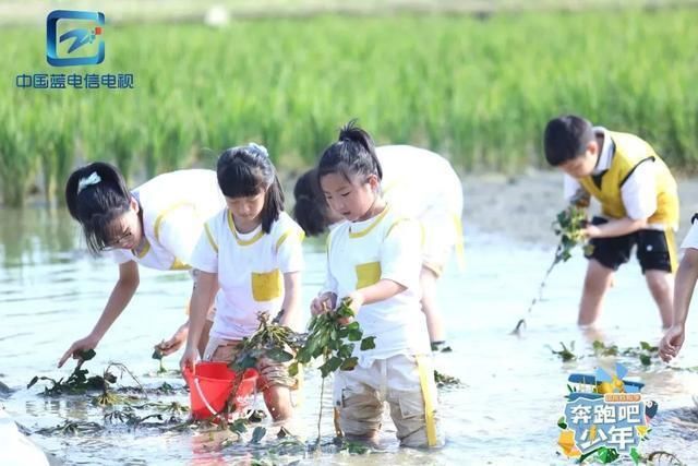  打造|浙江广电新媒体打造 国内首档青少年户外励志综艺《奔跑吧少年》