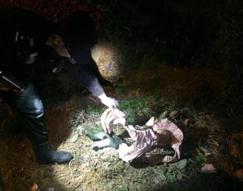  无所遁形|27年前的凶杀案，通过两项尖端技术得以破获，犯罪分子无所遁形