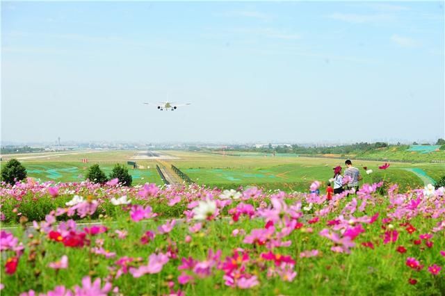 落户|重磅！熊猫国际家园项目将落户成都双流“空港花田”