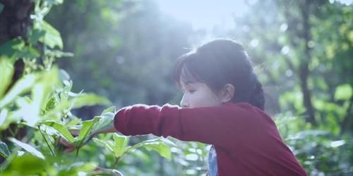 拍进|李子柒暴露本性！乱七八糟的面也拍进视频