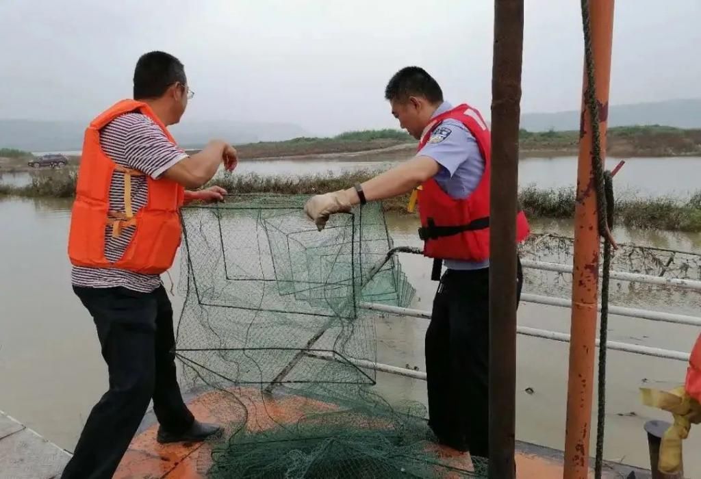  警方|强烈警示！泸州又有10多人涉嫌犯罪……警方已放生上千尾河鱼